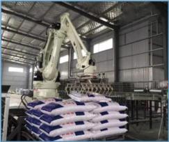 智能碼垛機器人